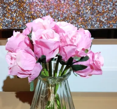 Noor Hassline Mohamed