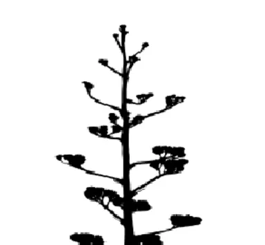 Jones-Wood Psychological Associates, Inc.