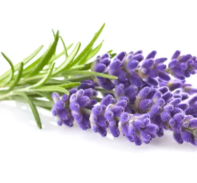 Judy dos Santos - Social worker in private practice