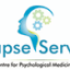 Synapse Services Ltd