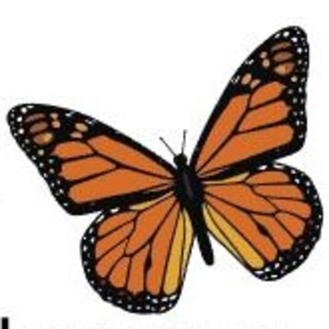 The Open Door Crisis Center