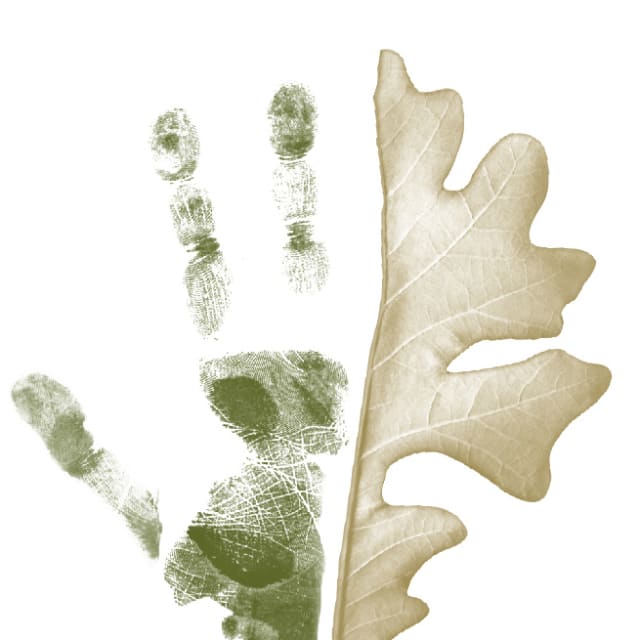 The Oak Centre for Child and Family Psychology