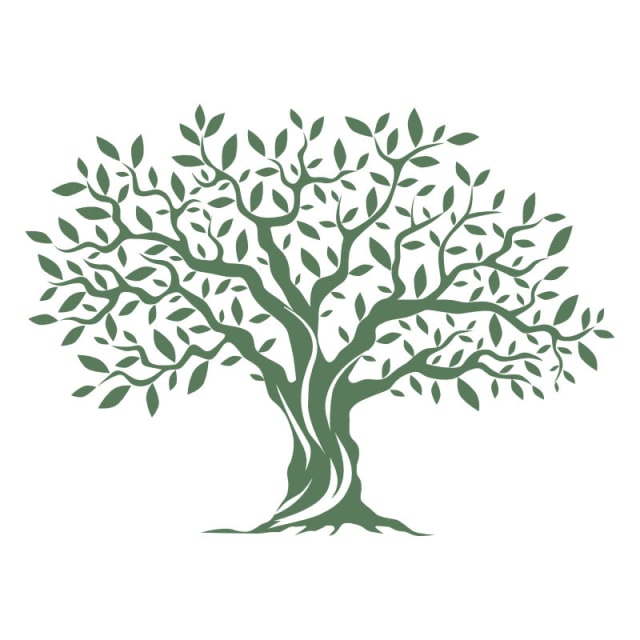 Elevate Wellness Center