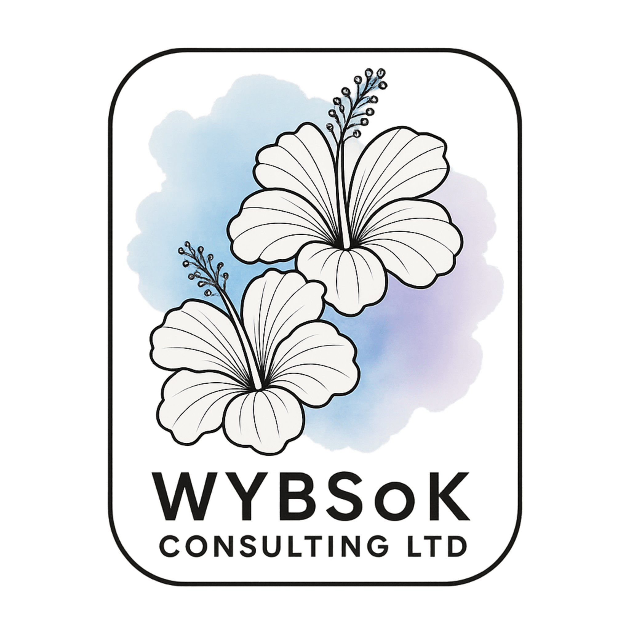 WYBSoK Consulting Ltd
