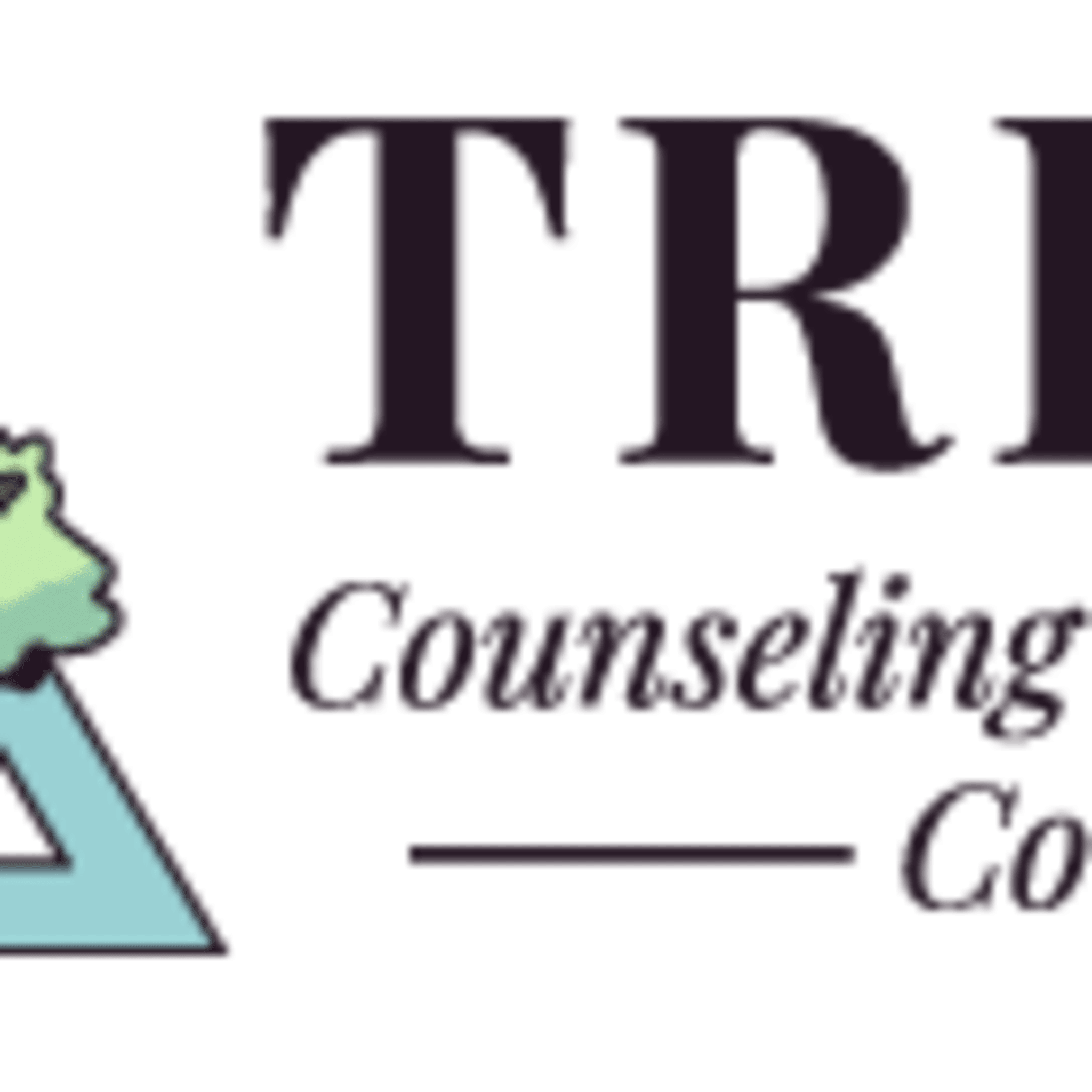 Triad Counseling and Wellness Corp