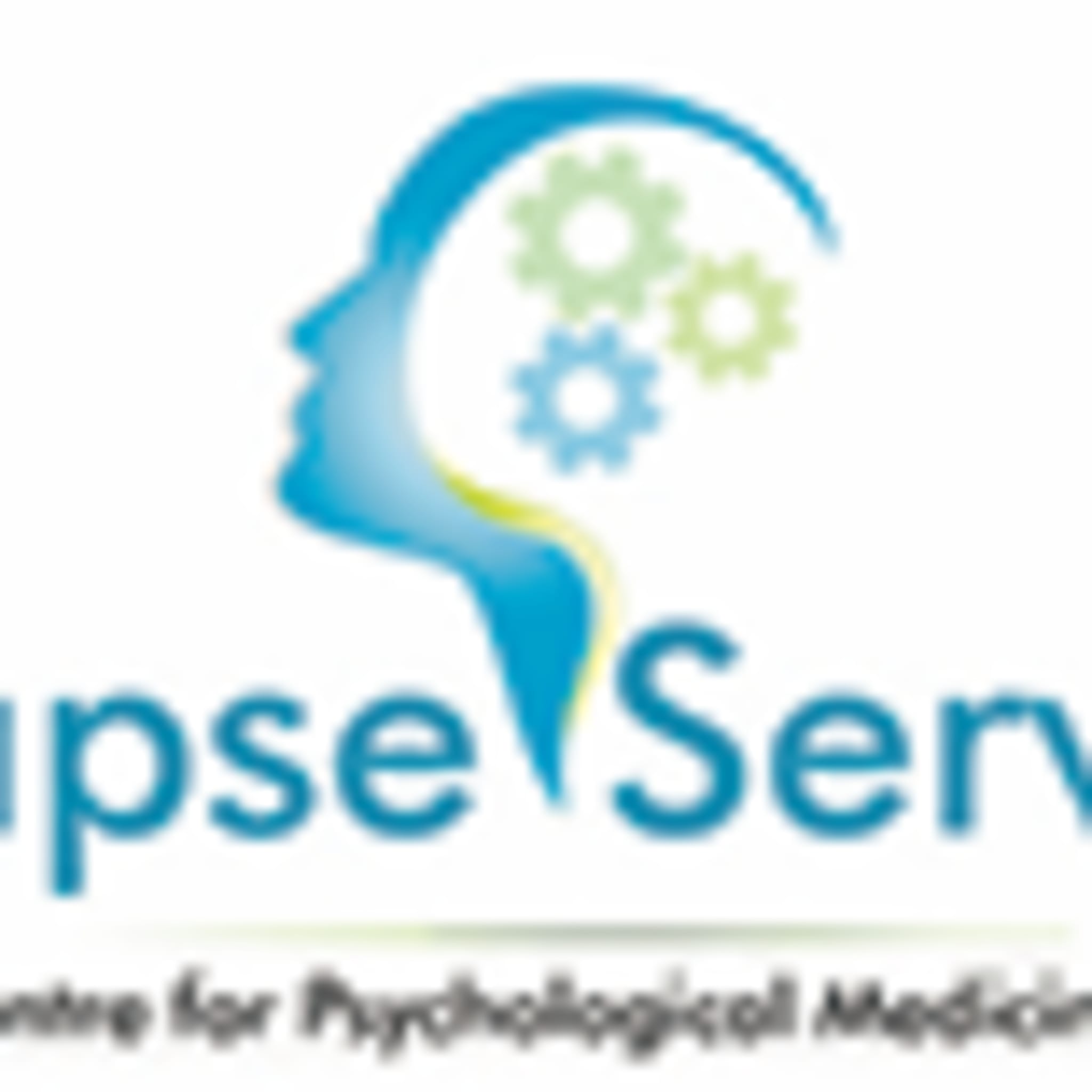 Synapse Services Ltd