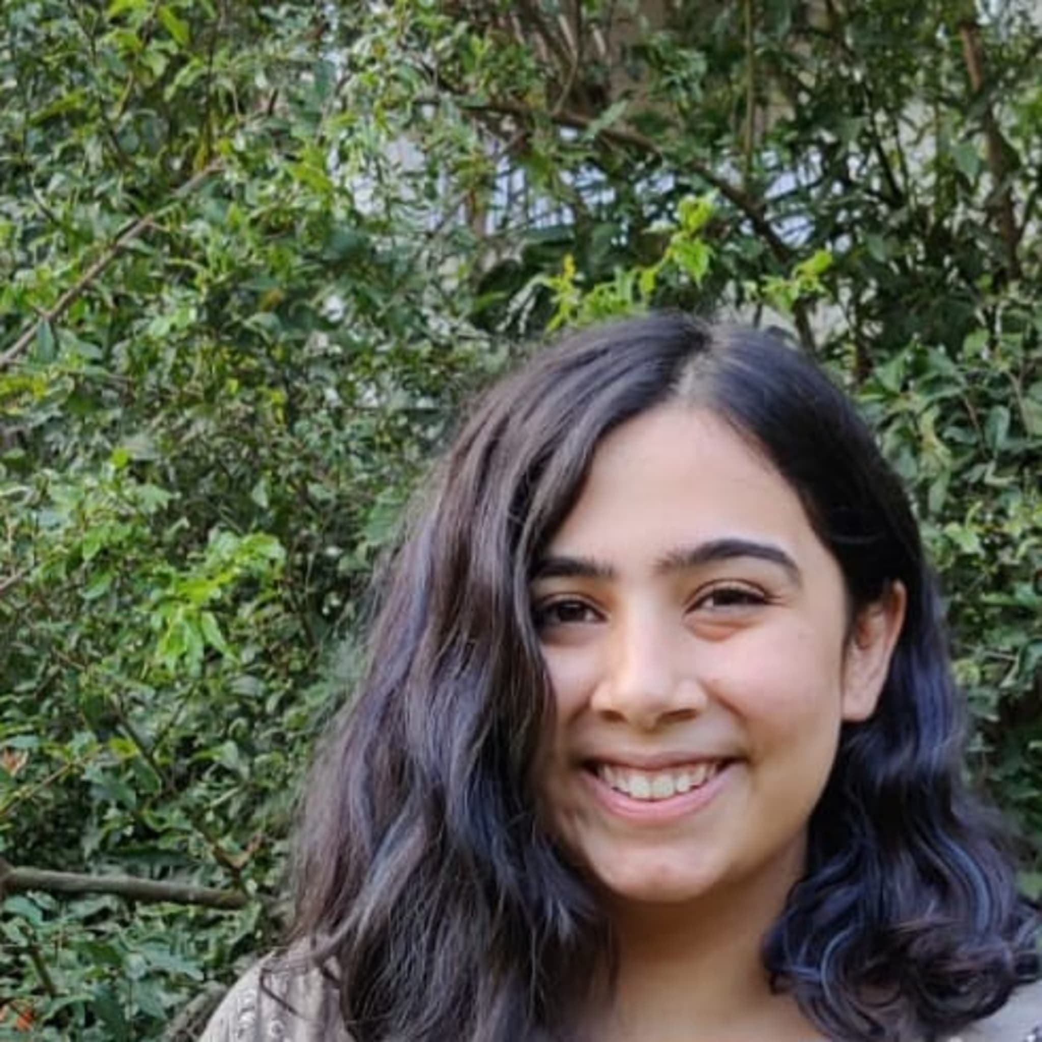 Palak