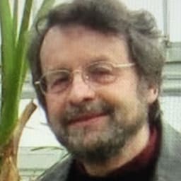 Gavriel Reisner