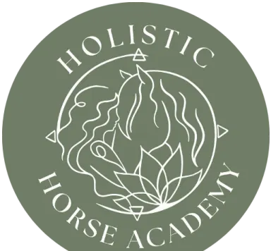 Holistic Horse Academy - Natural Mindfulness with Horses , Equine Assisted Trauma Support , Inner-child  healing and exploration,  Art therapy