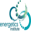 Energetics Institute