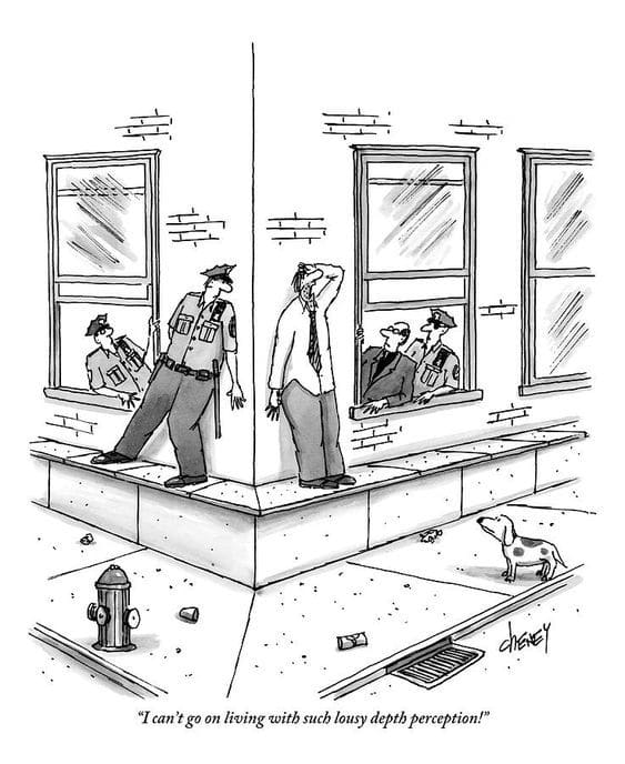 Feeling stuck? This humorous cartoon about depth perception reminds us that laughter can lighten any stressful moment!