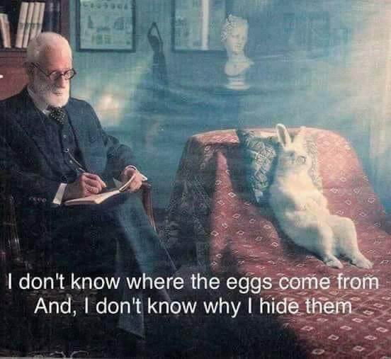 A therapist, resembling Freud, listens to a rabbit on a couch saying, I don't know where the eggs come from.