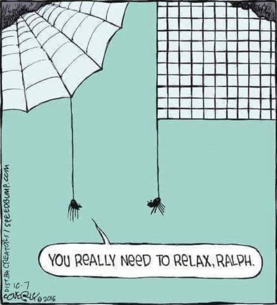 Cartoon depicting two spiders on umbrellas, with the caption, You really need to relax, Ralph.