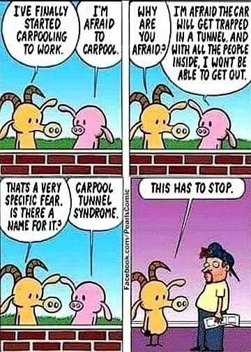 Cartoon depicting two characters discussing fears about carpooling, highlighting the humorous concept of Carpool Tunnel Syndrome.