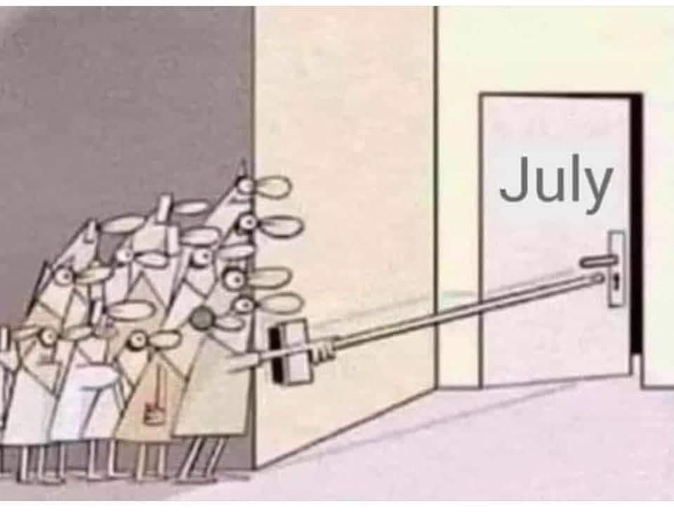 When July approaches, we all line up for a dose of summer humor, proving laughter is the best therapy!