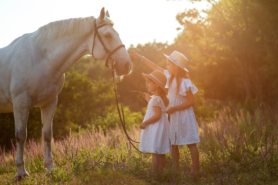 Read Article: Understanding Foster Care in Ontario: How Art and Play Therapy Support Foster Children Through Traum