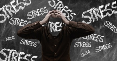 Read Article: Healthy Habits for Stress Management