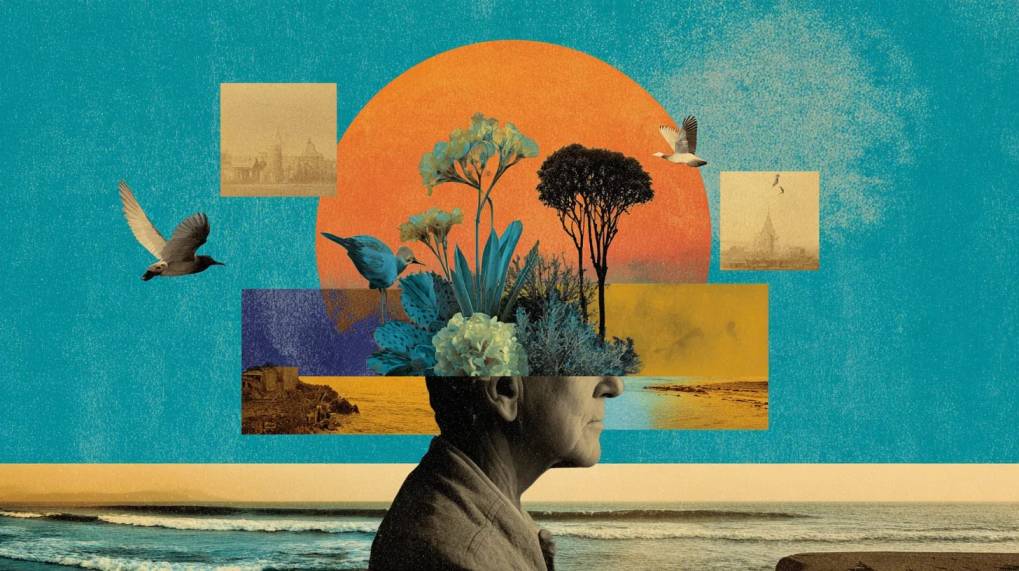 Read Article: How Much Does Therapy Cost in Tauranga, NZ? 2025 Guide