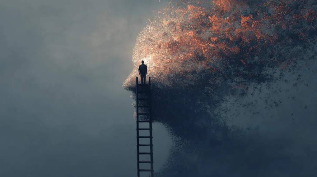 Read Article: Human Potential