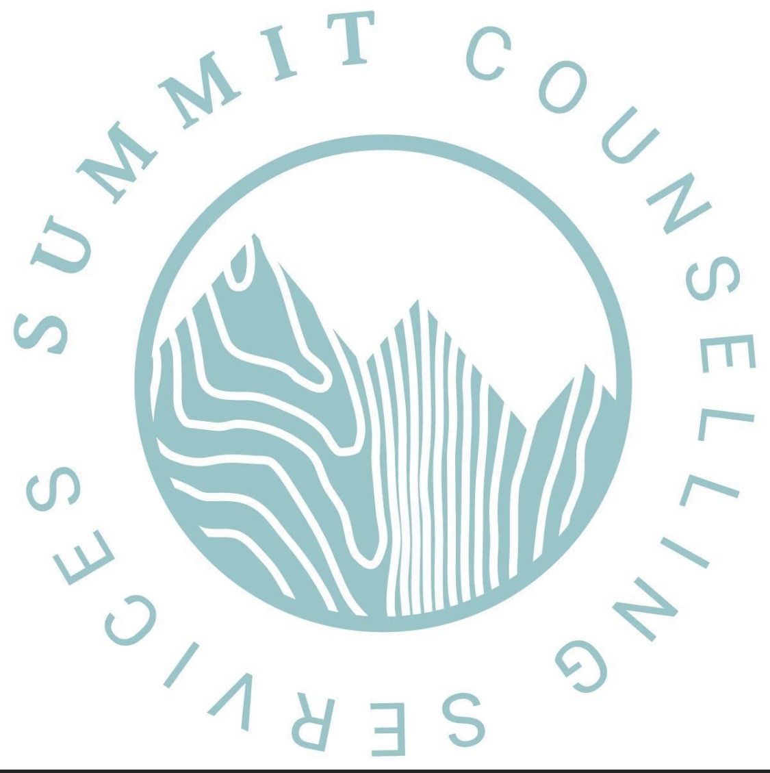 Summit Counselling Services Therapy Practice Edmonton Canada