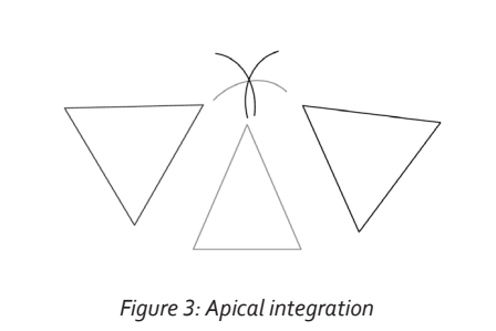 Illustration of apical integration showing three triangular shapes, emphasizing neuronal connectivity and integration processes.