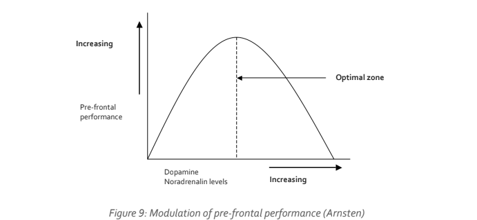 Illustration of how dopamine and noradrenaline levels influence pre-frontal performance, highlighting the optimal zone for effective brain chemistry.