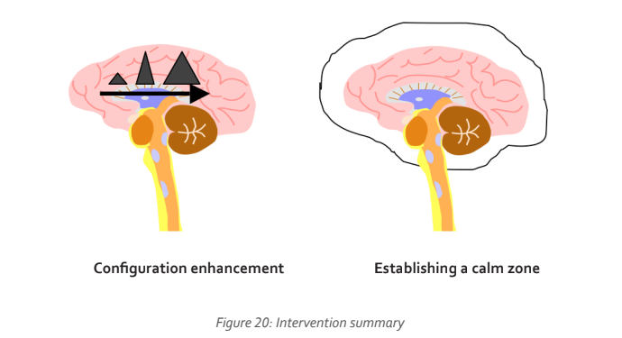 Visual representation of brain configurations highlighting enhancement techniques and methods to establish a calm zone for improved emotional well-being.