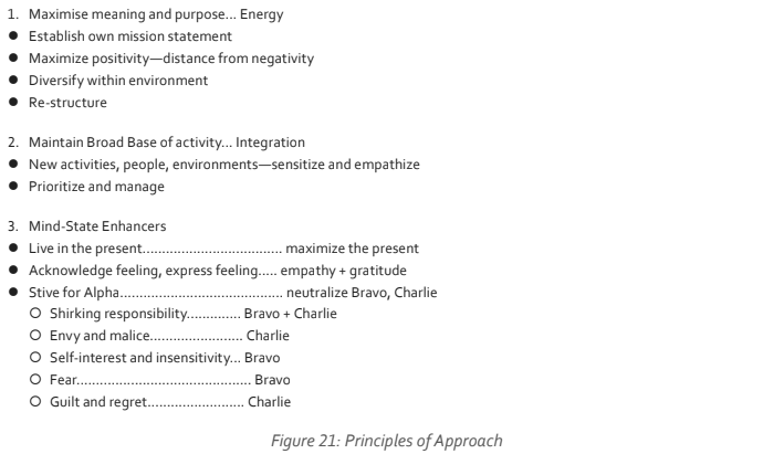 Explore the principles of approach to enhance mind-state dynamics and foster personal well-being through emotional awareness and energy management.