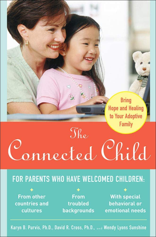 A mother and daughter smile while working together on a laptop, featuring the book The Connected Child for adoptive families.