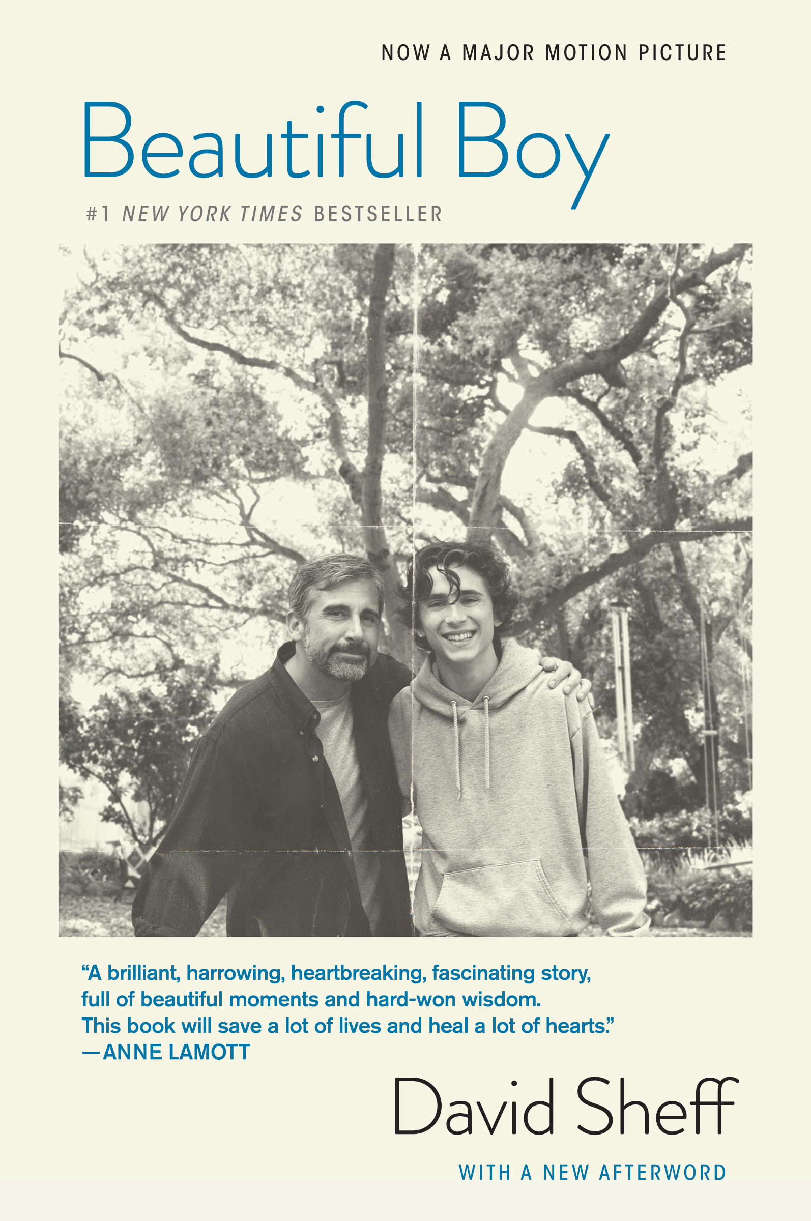 Explore the powerful story of 'Beautiful Boy', a memoir highlighting the struggles of substance use disorder and its impact on families.