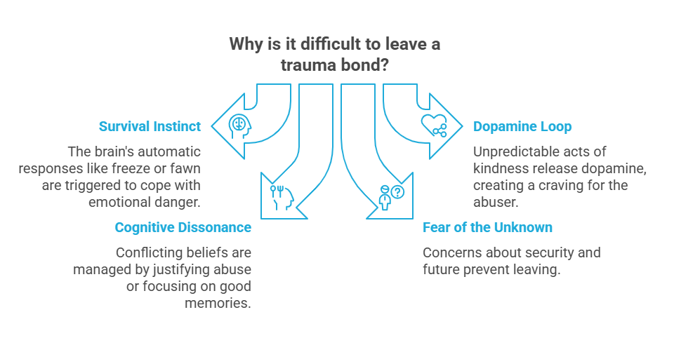 Infographic of Why It Feels Impossible to Walk Away