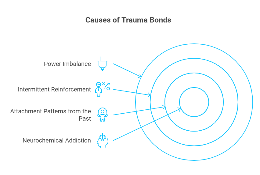 Infographic of What Causes Trauma Bonds