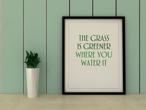 Framed wall art with the phrase The grass is greener where you water it beside a small potted plant on a wooden surface.