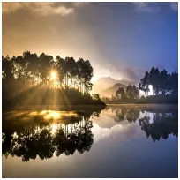 JoanneGregoryproviding services inBiddulph