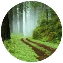 Debra Milinsky, MSW, LCSW, Psychotherapist in Berkeley, Berkeley, Oakland, Albany, Alameda, El Cerrito, Kensington, 94707, United States