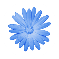 Harsha Maharaj (nee Kalanjee), MA Clinical Psychology, Psychologist (Clinical) in Randburg, Bryanston, 2188, South Africa