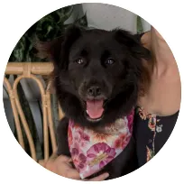 Corina Bair, LCSW, Licensed Clinical Social Worker in San Diego, Hillcrest, 92103, United States