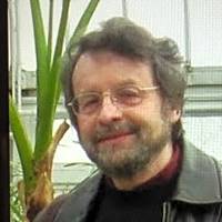 A thoughtful man with glasses and a beard stands in a greenhouse, reflecting on silence in psychotherapy.