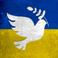 White dove with an olive branch on a blue and yellow background symbolizes peace and hope amid the Ukraine crisis.