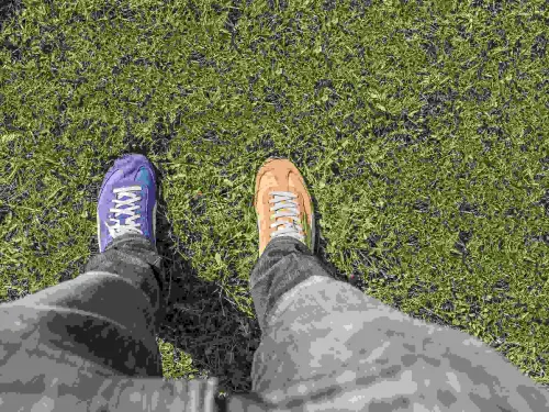 Article image for Pronouns and Names