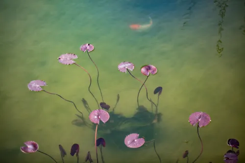 Article image for The Wisdom In Problems