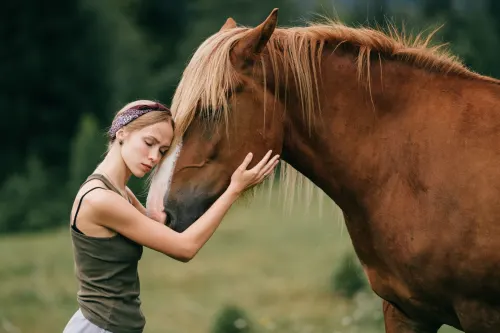 Article image for The herd gallops toward you