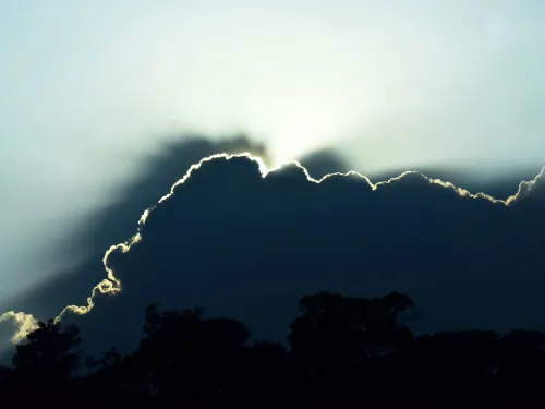 Article image for Sixteen Pearls in the "Crown" / Corona