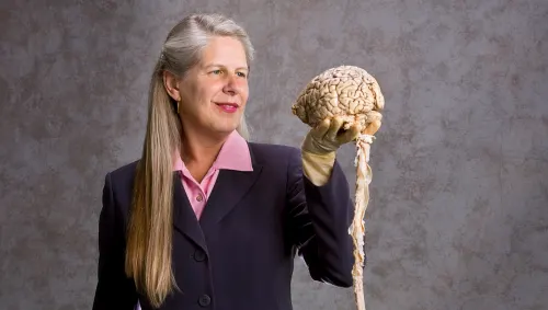 Article image for Neurology and Psychology 101