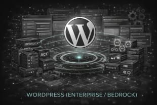 Competence: WordPress (Enterprise / Bedrock)