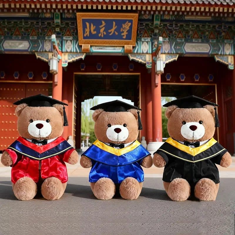 Urso de Pelúcia Formatura TinySteps: Doutor Colorido e Fofinho para Celebrar Conquistas Infantis 5
