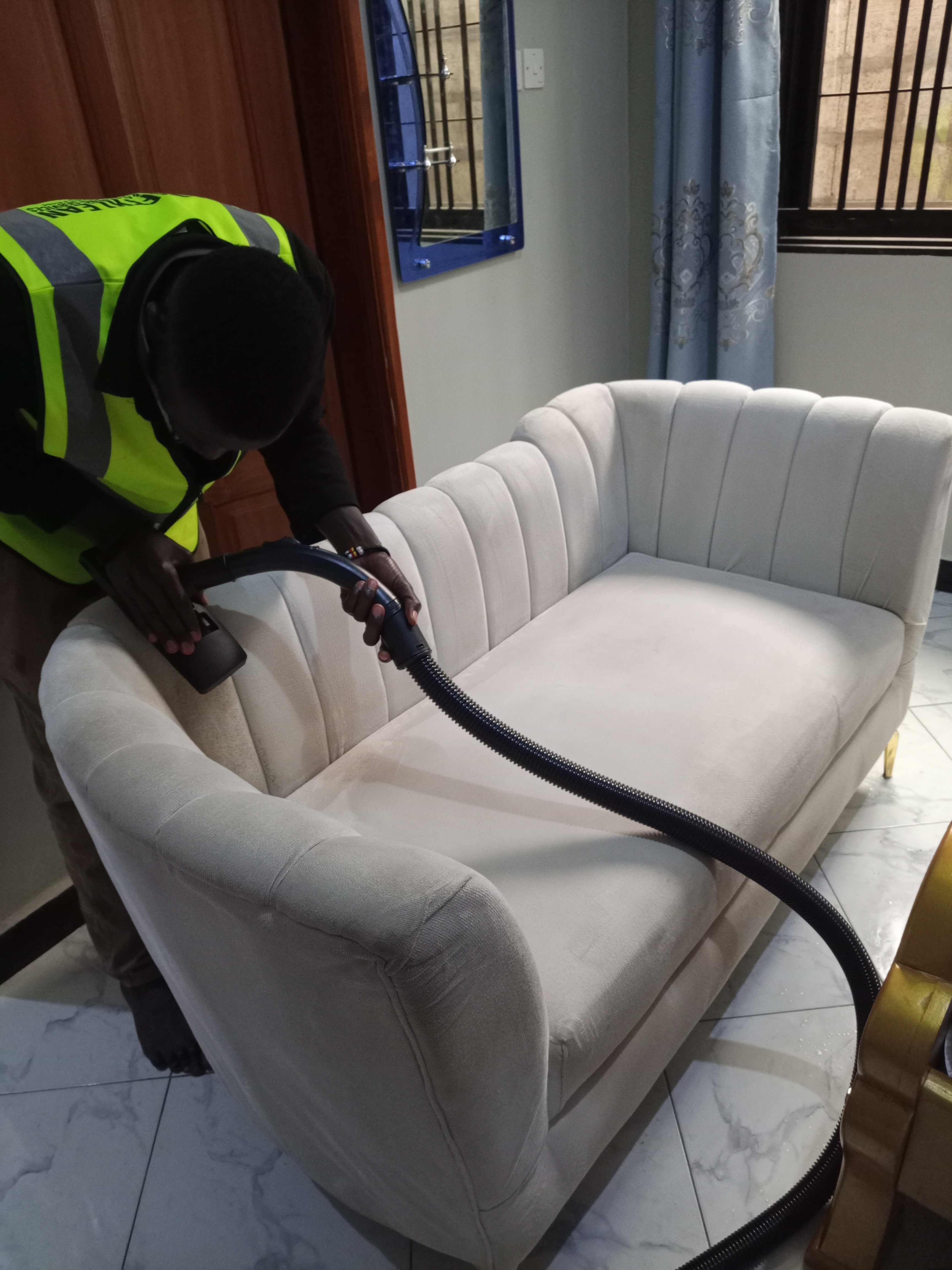 Professional Upholstery Cleaning
