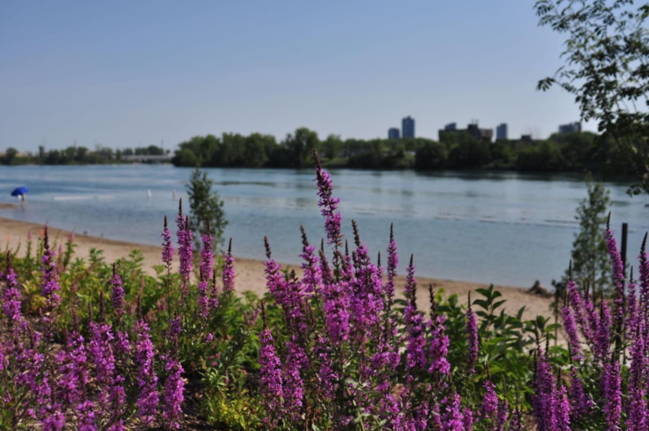 Best Places to Live Near Nature in Montreal (2026 Guide)