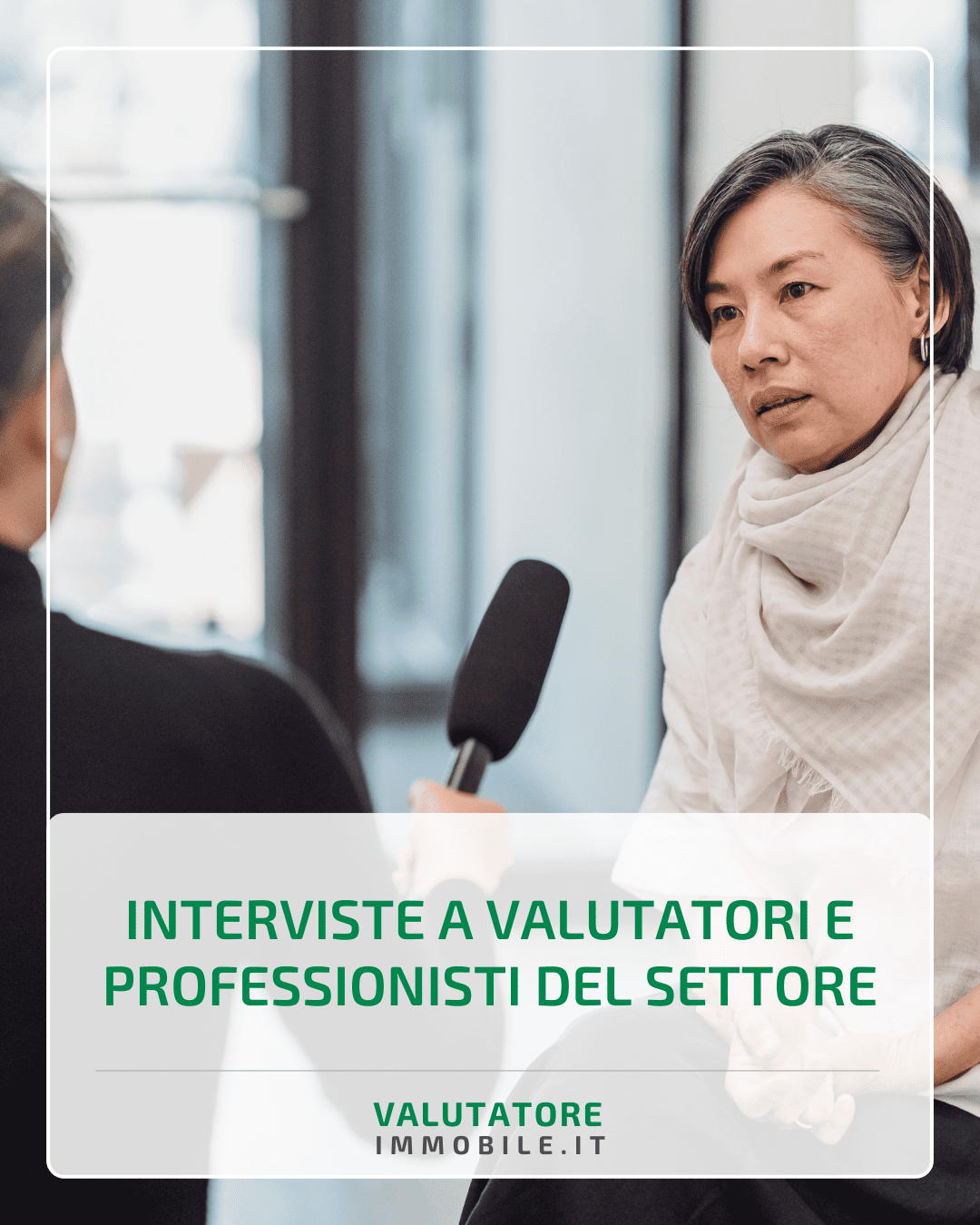 Interviste a valutatori e professionisti del settore