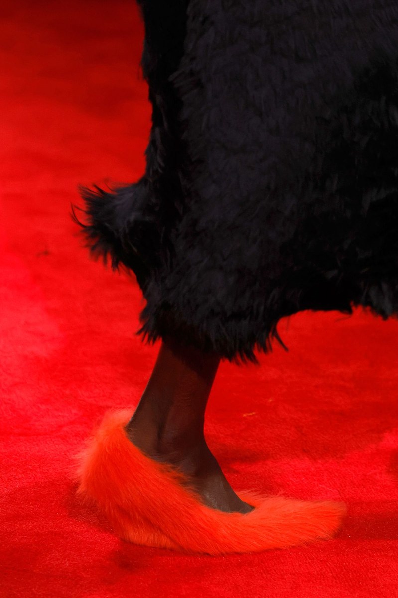 Shoe 6